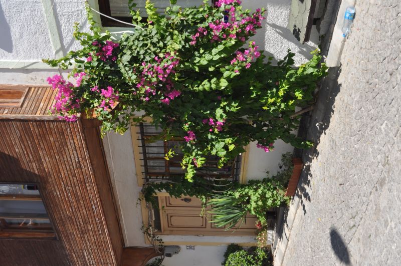 Bozcaada 19
