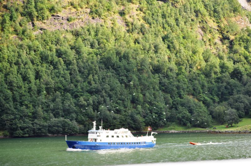 NORVEÇ FİYORTLARI 30