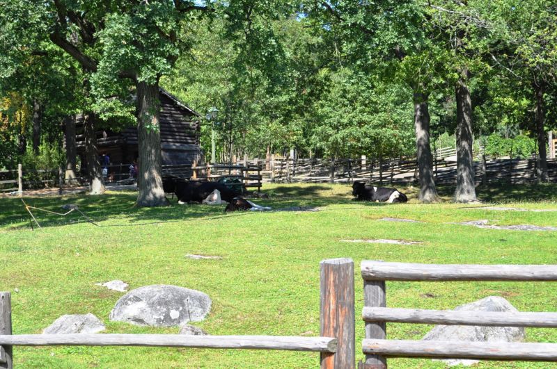 Stockholm, Skansen... 20